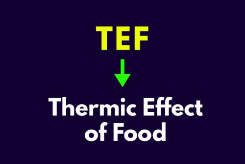 Blog Image: Does Thermic Effect of Food Help to Burn Fat?