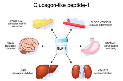 Blog Image: What’s the Latest News for GLP-1 Medications?