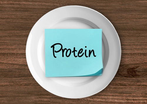 metabolic research center semaglutide Is Protein the Food to Prioritize on GLP-1?