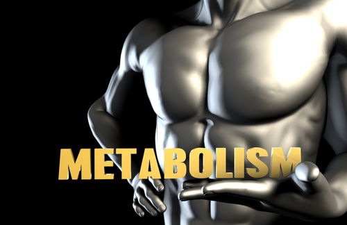 Blog Image: Reversed Genetics Boost Metabolism Blog Image: Reversed Genetics Boost Metabolism