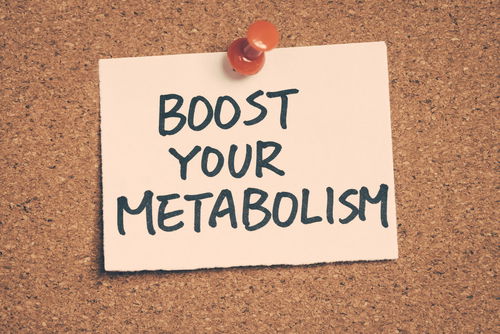 Blog Image: PV-1 Gene May Boost Human Metabolism Blog Image: PV-1 Gene May Boost Human Metabolism