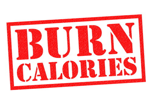 Blog Image: PLVAP Gene Is Key to Burning Calories