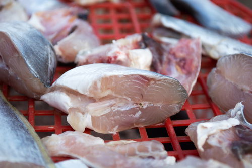 Blog Image: Seafood Is Often Minimally Processed for Packaging Blog Image: Seafood Is Often Minimally Processed for Packaging