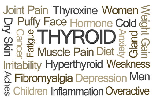 Blog Image: Imbalances Are Linked to Numerous Conditions Blog Image: Imbalances Are Linked to Numerous Conditions