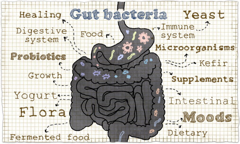 Blog Image: Are your gut bugs making you crave? Blog Image: Are your gut bugs making you crave?
