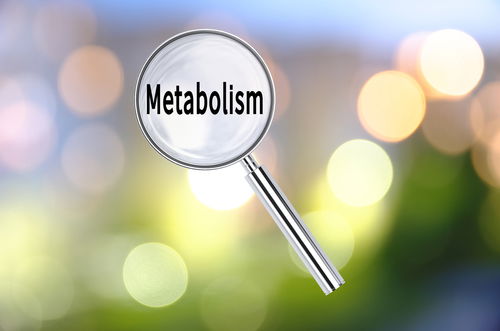 Blog Image: Suppressing Plvap Gene Can Boost Metabolism Blog Image: Suppressing Plvap Gene Can Boost Metabolism