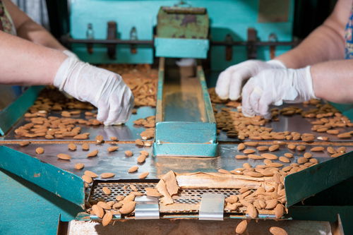 Blog Image: Fresh Nuts and Seeds Are Minimally Processed Foods