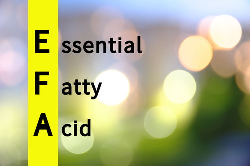 Blog Image: EFAs are Essential Fatty Acids for Your Body Blog Image: EFAs are Essential Fatty Acids for Your Body