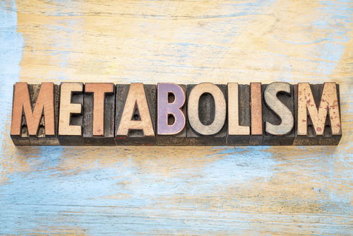 Blog Image: PLVAP Can Increase Liver Metabolism Blog Image: PLVAP Can Increase Liver Metabolism