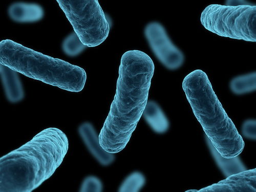 Blog Image: Boost Metabolism with a Healthier Gut