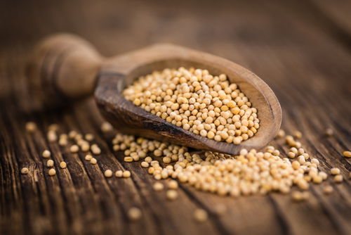 Blog Image: Mustard Seeds Are Rich in Good Dietary Fat Blog Image: Mustard Seeds Are Rich in Good Dietary Fat