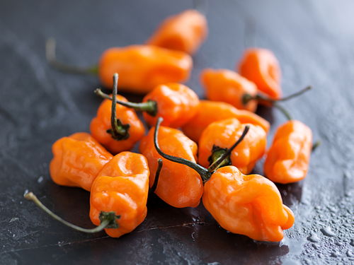 Blog Image: Habanero Peppers Contain a High Dose of Vitamin C
