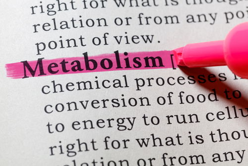 Blog Image:  Metabolism Affects Every Cell in Your Body