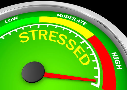 Blog Image: Stress Can Challenge Your Ability to Metabolize Sugar