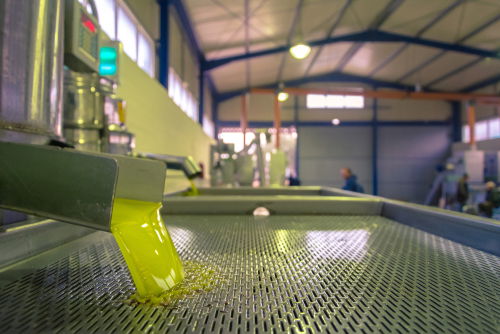 Blog Image: Olive Oil Is a Healthy Processed Food Product