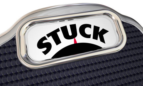 Blog Image: PV-1 Gene May Avoid Metabolic Slowdowns Blog Image: PV-1 Gene May Avoid Metabolic Slowdowns