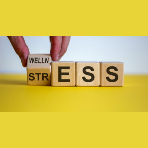 Blog Image: 9 Ways To Reduce Stress, Rebalance Your Adrenals, & Increase Weight Loss Blog Image: 9 Ways To Reduce Stress, Rebalance Your Adrenals, & Increase Weight Loss