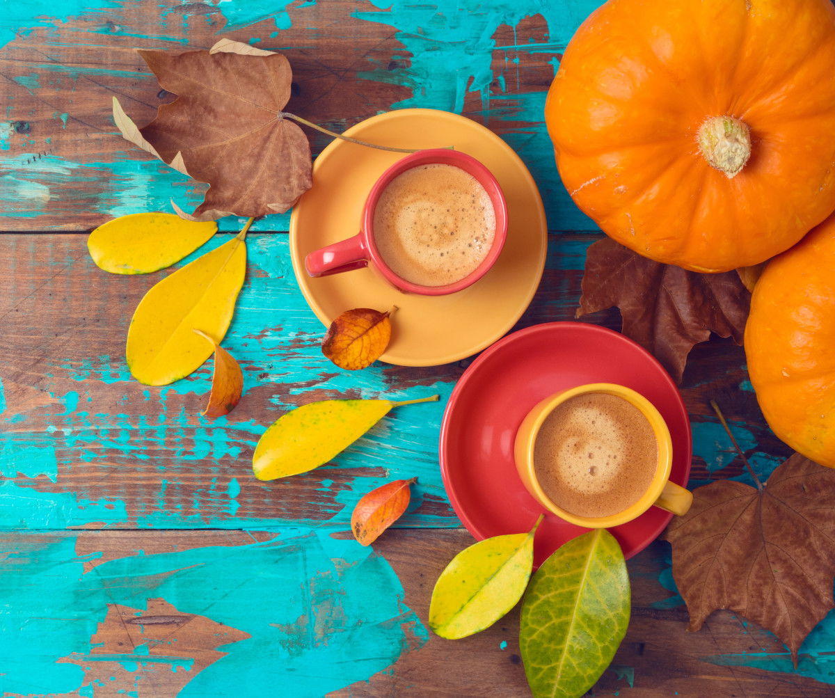 Blog Image: For All of You Sweet Dreamers: Holiday Coffees & Creamers Blog Image: For All of You Sweet Dreamers: Holiday Coffees & Creamers