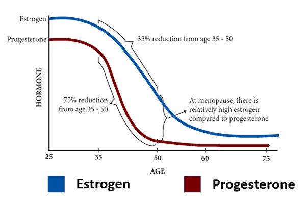 Blog Image: The Connection between Belly Fat and Hormone Imbalance