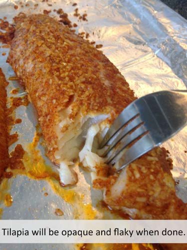 Recipe Image: Parmesan Tilapia