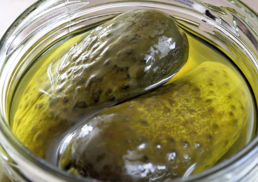 Blog Image: Home-made Dill Pickles are Great to Make Blog Image: Home-made Dill Pickles are Great to Make
