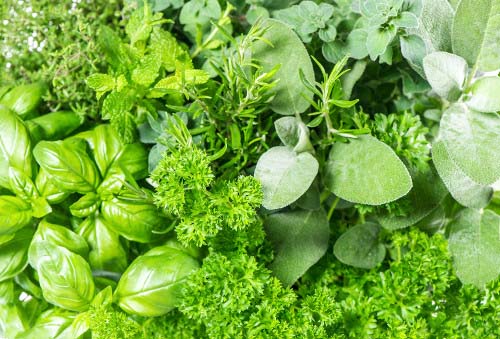 Blog Image: Adding Flavor with Herbs